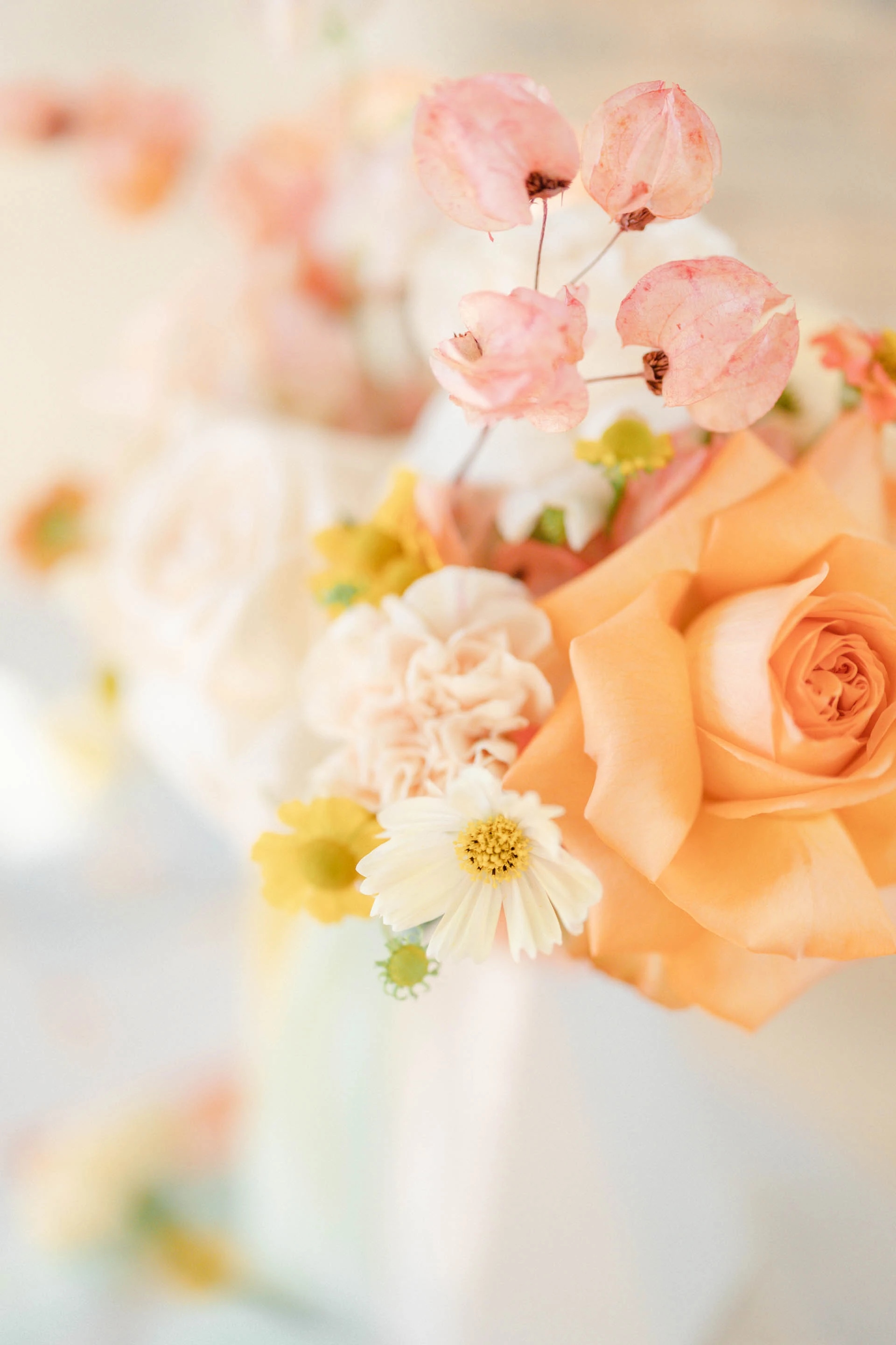 fleur pétale jaune orange rose